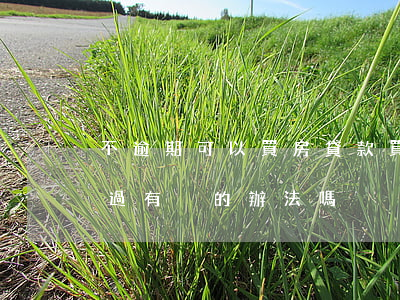 不逾期可以買房貸款買房(逾期貸款買房不通過有別的辦法嗎)
