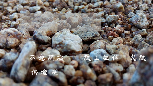 不逾期按時還款上征信嗎(欠款還了征信顯示仍逾期)