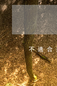 不適合提前還貸的情況有哪些