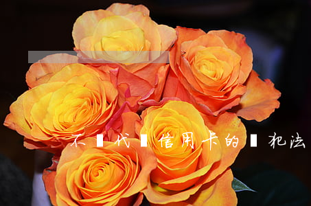 不還代還信用卡的錢犯法嗎