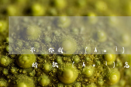 不還你我貸會(huì)怎么樣(不還你我貸的貸款會(huì)怎么樣)