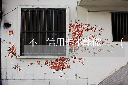 不還信用卡不能做飛機(jī)嗎