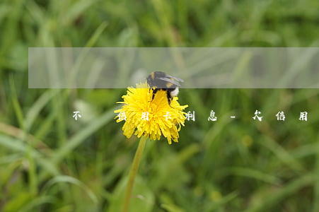 不還信用卡利息-欠信用卡利息太大無力償還