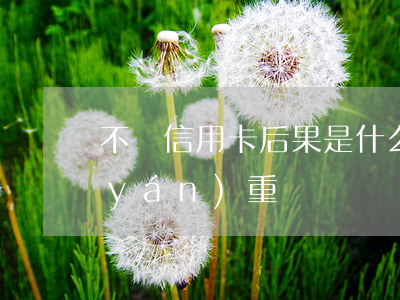 不還信用卡后果是什么(信用卡不還后果嚴(yán)重嗎)
