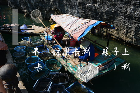 不還信用卡影響孩子上學(xué)(欠信用卡錢會(huì)影響孩子上學(xué)嗎)