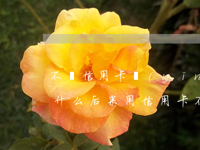 不還信用卡應(yīng)承擔(dān)什么后果(用信用卡不還構(gòu)成什么罪)
