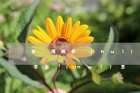 不還信用卡會(huì)怎樣處理(信用卡還不上會(huì)怎樣處理)
