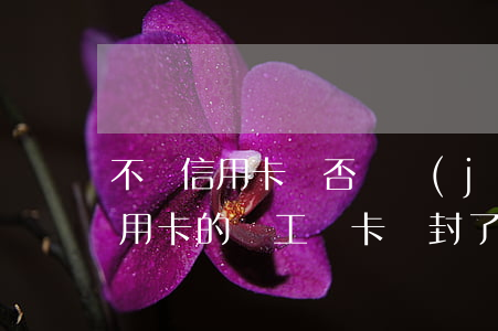 不還信用卡會否凍結(jié)工資卡(欠信用卡的錢,工資卡會封了怎么辦)