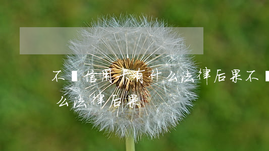 不還信用卡有什么法律后果(不還信用卡有什么法律后果)