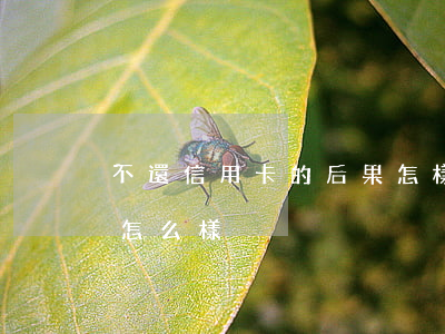 不還信用卡的后果怎樣(銀行的信用卡不還會怎么樣)