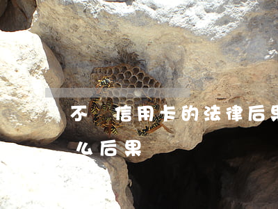 不還信用卡的法律后果(信用卡不還最終有什么后果)