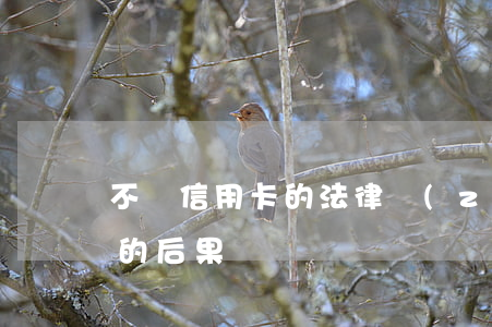 不還信用卡的法律責(zé)任(不還信用卡的后果)