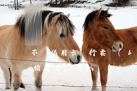 不還信用卡銀行要報(bào)警(信用卡被借走不還可以報(bào)警嗎)