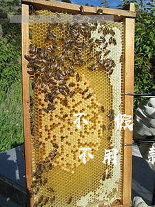 不還假網(wǎng)貸，網(wǎng)貸不用還款真的假的