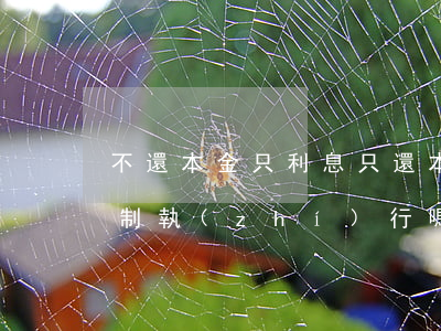 不還本金只利息(只還本金不還利息法院能強制執(zhí)行嗎)