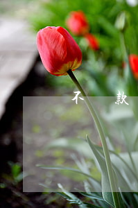 不還款對小孩有什么影響（孩子逾期還不上）