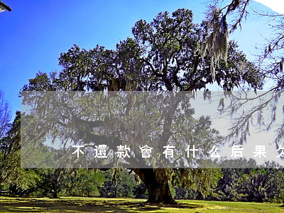 不還款會有什么后果(欠款不還會有什么后果)