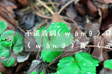 不還清網(wǎng)貸政審有影響嗎(有網(wǎng)貸沒(méi)還清當(dāng)兵政審能過(guò)嗎)