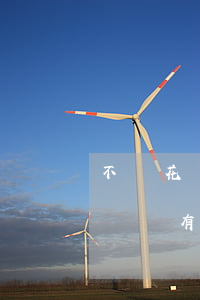 不還花唄信用卡會影響什么(花唄和信用卡不還會有什么后果)