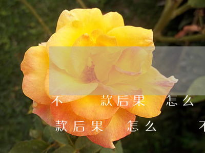 不還貸款后果會怎么樣會不會坐牢-不還貸款后果會怎么樣會不會坐牢了