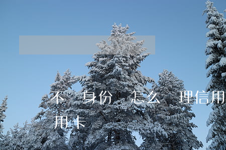 不還身份證怎么辦理信用卡(身份證辦不了信用卡)