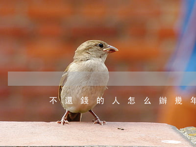 不還錢的人怎么辦(幾年不還錢的人怎么辦)