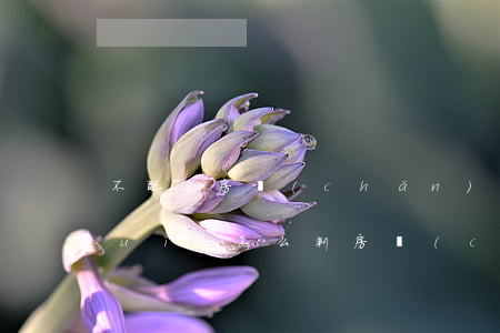 不配合房產(chǎn)繼承人法院會(huì)怎么判(房產(chǎn)繼承隱瞞繼承人)
