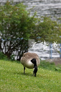 不陪老婆逛街就吵架鬧要離婚嗎