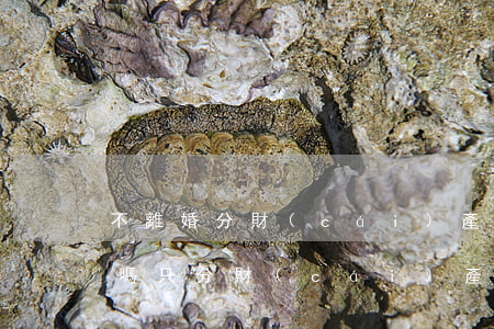 不離婚分財(cái)產(chǎn)可以嗎(只分財(cái)產(chǎn)不離婚可以嗎)