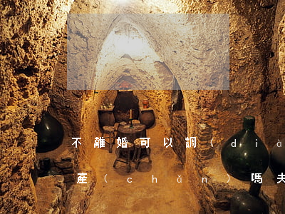 不離婚可以調(diào)查夫妻雙方的財產(chǎn)嗎(夫妻離婚一方隱瞞財產(chǎn)怎么查)