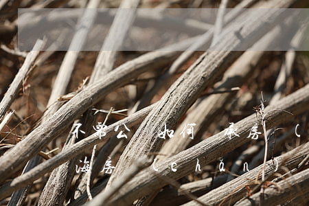 不需公證如何繼承房產(chǎn) 上海，上海房產(chǎn)繼承不需要公證了