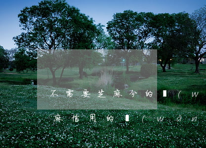 不需要芝麻分的網(wǎng)貸(不需要芝麻信用的網(wǎng)貸)