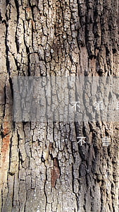 不領取信用卡逾期會坐牢嗎(欠信用卡不還會不會坐牢)