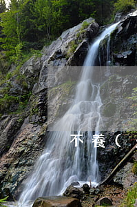 不養(yǎng)小叔就離婚怎么辦