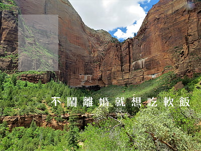 不鬧離婚就想吃軟飯