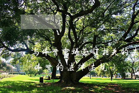 与体育市场营销相关的法律法规(我国有关体育的法律法规)
