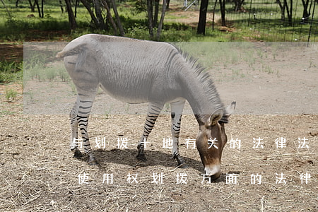 与划拨土地有关的法律法规(关于国有土地使用权划拨方面的法律知识)