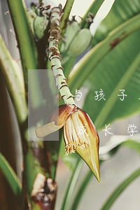 与孩子成长相关的法律法规(与青少年健康成长学习密切相关的法律规定)