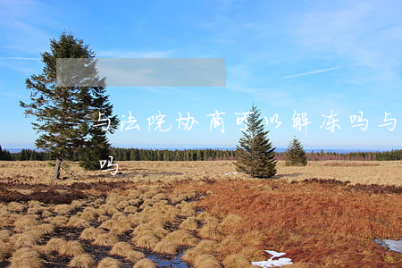 与法院协商可以解冻吗(与法院协商可以解冻吗)