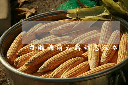 与赌徒前夫离婚怎么办
