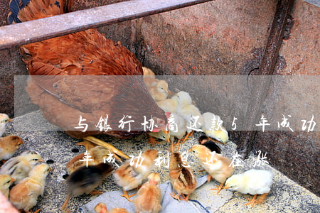 与银行协商还款5年成功(与银行协商还款5年成功利息还在涨)