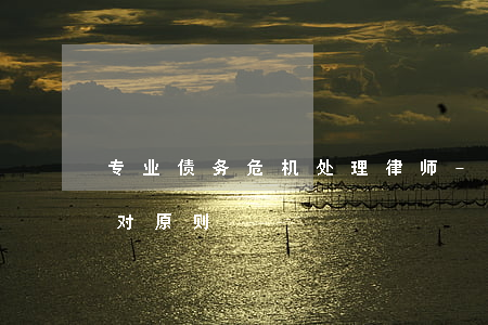 专业债务危机处理律师-债务危机:我的应对原则