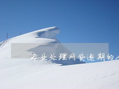 专业处理网贷逾期的人(网贷逾期最长的人)