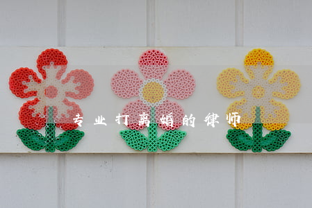 专业打离婚的律师