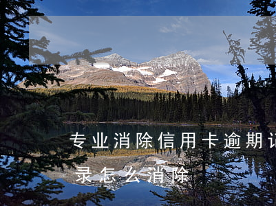 专业消除信用卡逾期记录(银行信用卡逾期记录怎么消除)