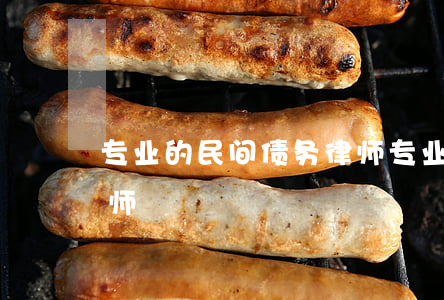专业的民间债务律师(专业民间借贷纠纷的律师)