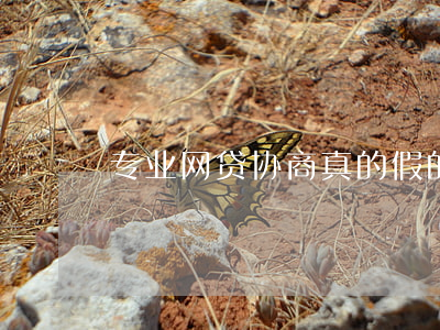 专业网贷协商真的假的-网贷协商是真的吗