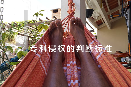 专利侵权的判断标准