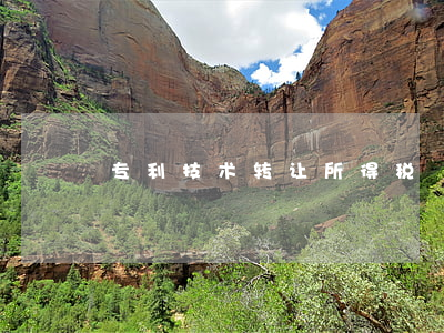 专利技术转让所得税