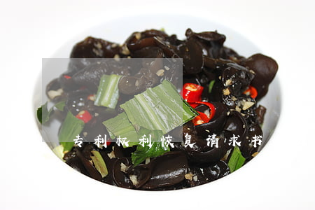 专利权利恢复请求书怎么提交